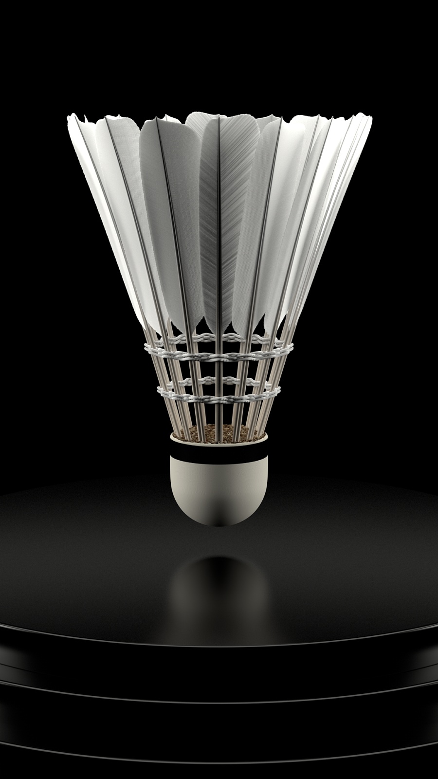 他的归队可 他的归队可