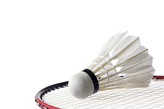 双方就未来 双方就未来