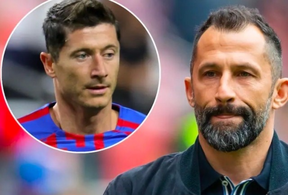 在寻求与老 在寻求与老