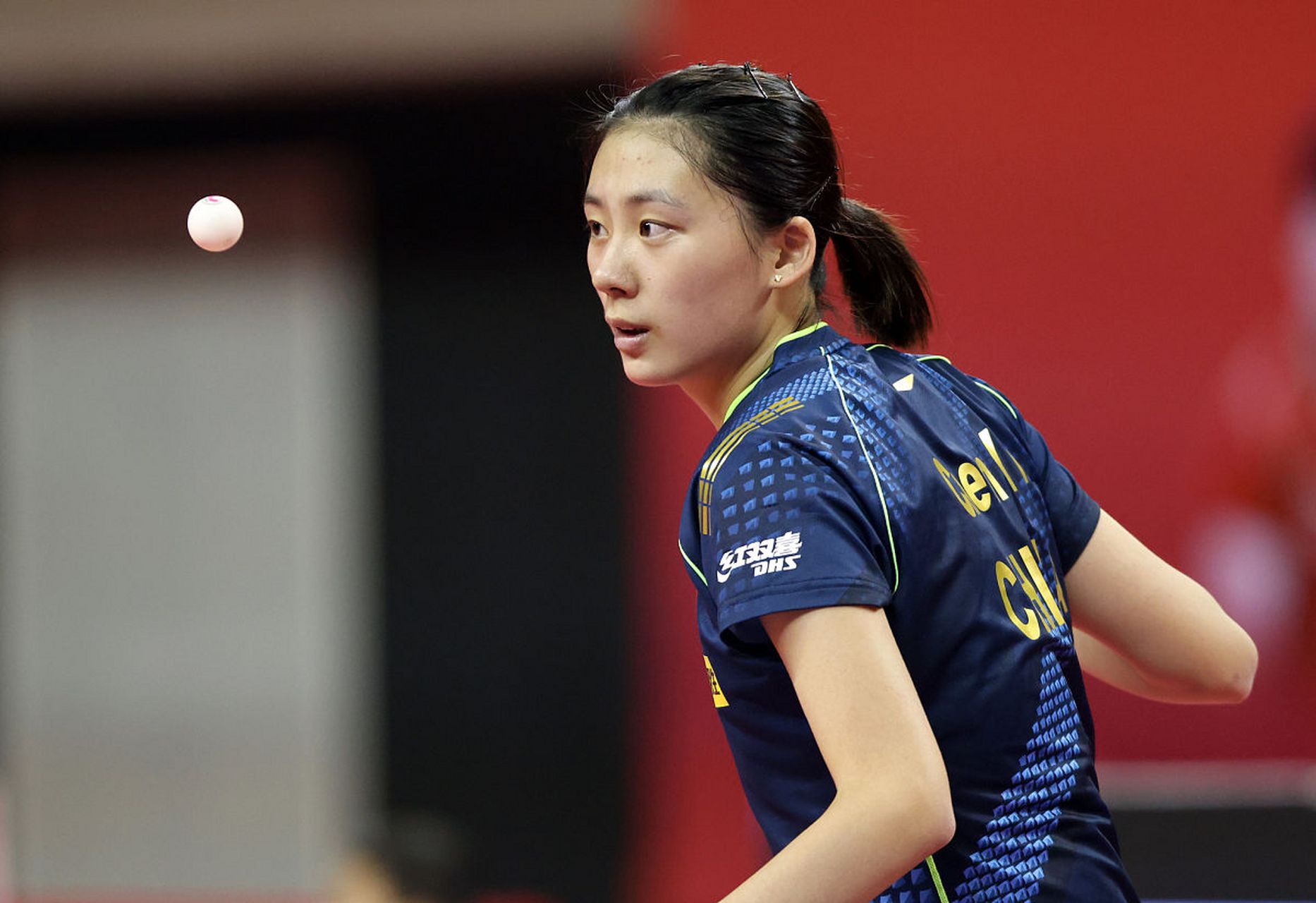 提供了一个 提供了一个